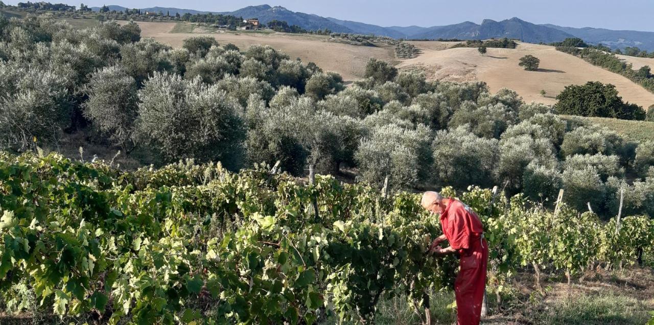 Agriturismo Santa Chiara Pomarance Εξωτερικό φωτογραφία