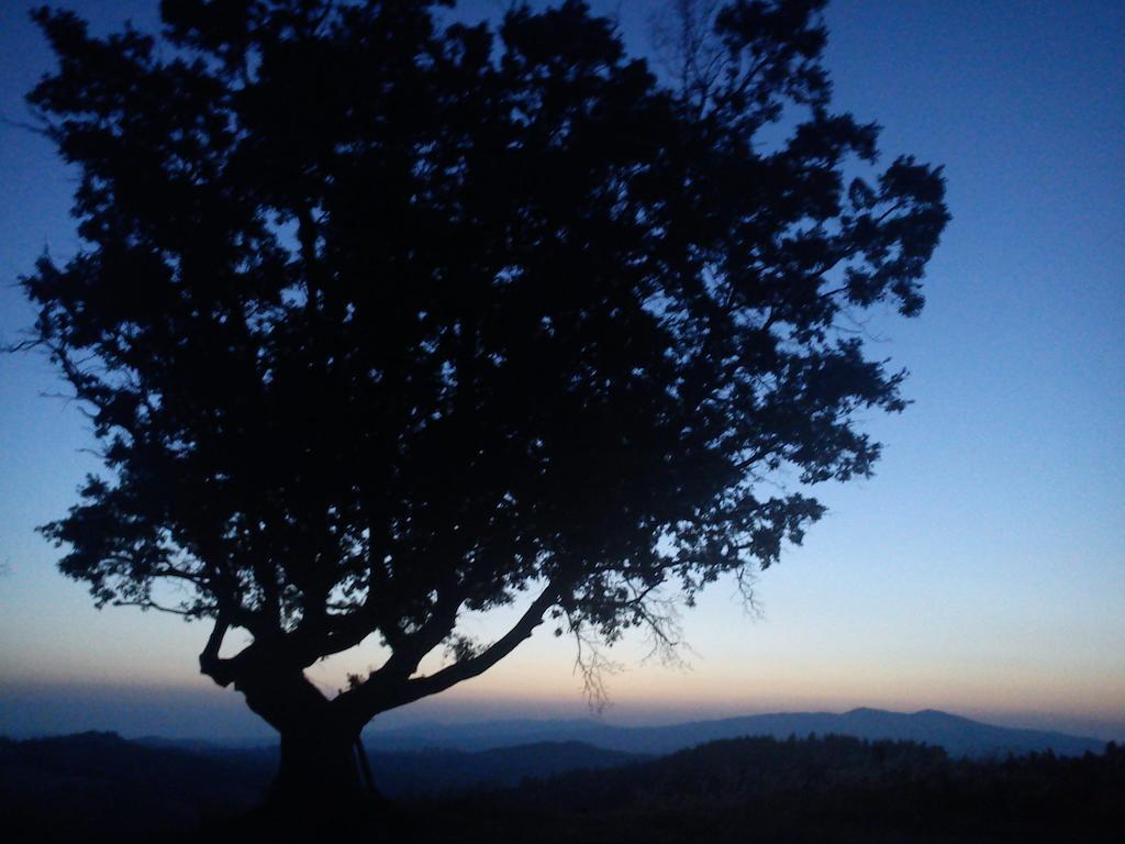 Agriturismo Santa Chiara Pomarance Εξωτερικό φωτογραφία